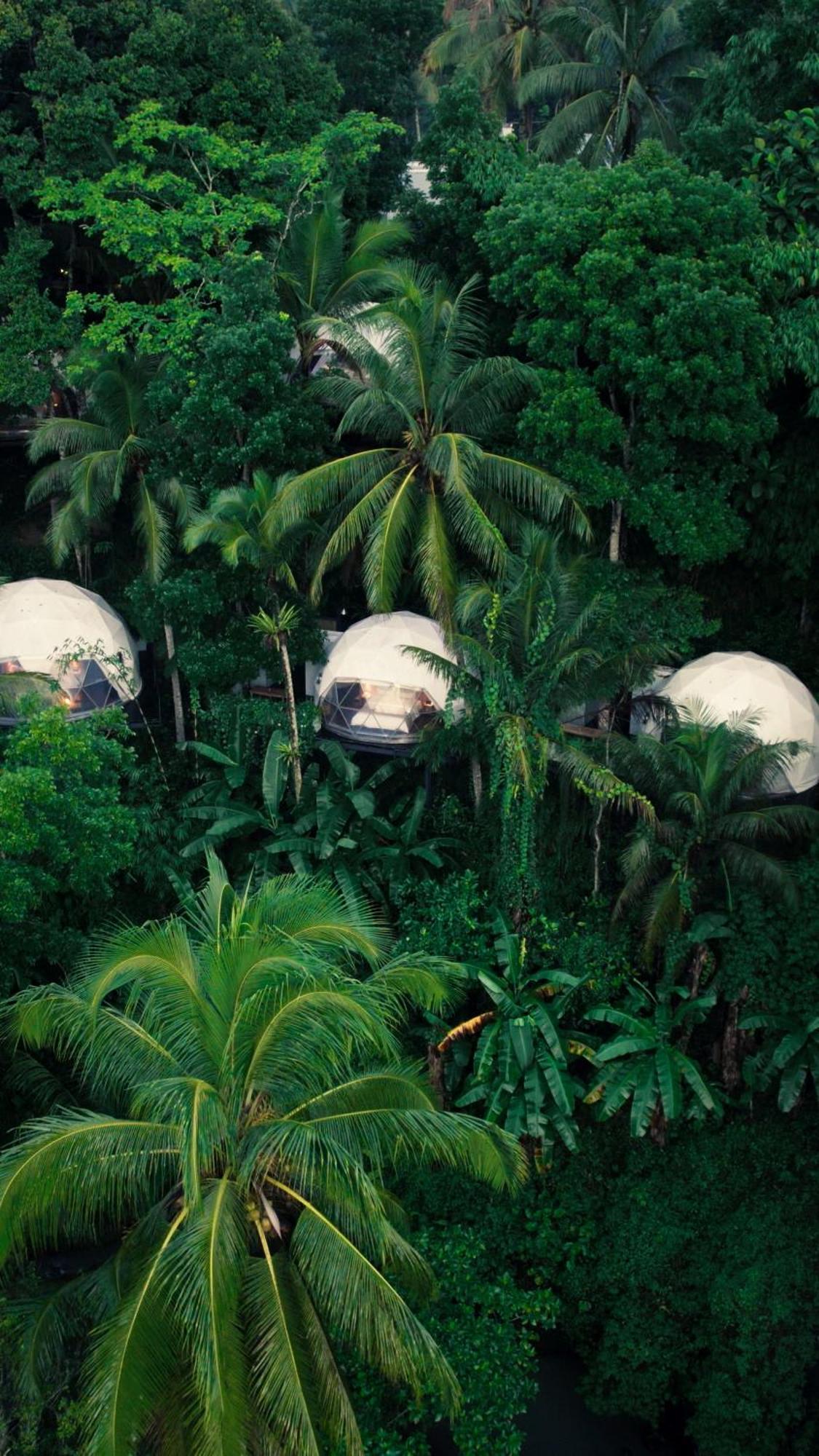 Lintang Luku Tent Resort Ijen, Banyuwangi Баньювангі Екстер'єр фото